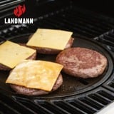 Landmann Fryton Cook 4.1 gasbarbecue 07538, 3-in-1 met airfryer