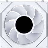 Lian Li UNI FAN SL-INF LCD FLEX RGB case fan Wit, 120 x 124 x 28 mm, PWM