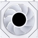 Lian Li UNI FAN SL-INF LCD FLEX RGB case fan Wit, 120 x 124 x 28 mm, PWM