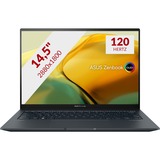 ASUS ZenBook 14X OLED UX3404VC-M9026W 14.5" laptop Grijs | i9-13900H | RTX 3050 | 32 GB | 1 TB SSD