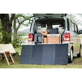 ECOFLOW 160W zonnepaneel Zwart