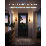 Govee Edison bulb E27 ledlamp 2 stuks, 2.4GHz wifi, Bluetooth