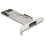 DeLOCK Mobile Rack PCI Express-kaart voor 1x M.2 NMVe SSD interface kaart 47028