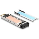 DeLOCK Mobile Rack PCI Express-kaart voor 1x M.2 NMVe SSD interface kaart 47028