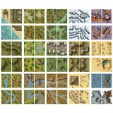 European Player Network The Giant Book of Battle Mats: Wilds, Wrecks & Ruins boek Engels