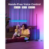 Govee Floor Lamp lite Zwart