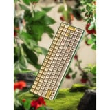 Iqunix F97 Floral Date RGB mechanisch gaming toetsenbord Groen, US lay-out (QWERTY), IQUNIX Little Prince, 96%, RGB leds, Hot-swappable, PBT, 2.4GHz | Bluetooth 5.1 | USB-C