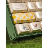 Iqunix F97 Floral Date RGB mechanisch gaming toetsenbord Groen, US lay-out (QWERTY), IQUNIX Little Prince, 96%, RGB leds, Hot-swappable, PBT, 2.4GHz | Bluetooth 5.1 | USB-C