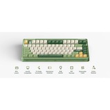 Iqunix OG80 Camping Wireless Mechanical Keyboard Groen, US lay-out (QWERTY), IQUNIX Moonstone, 80% (TKL)	, RGB leds, Hot-swappable, PBT, 2.4GHz | Bluetooth 5.1 | USB-C