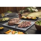 Weber Spirit E-425 gasbarbecue Zwart, 3 branders
