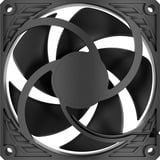 ARCTIC  case fan 