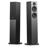 Audio Pro A38 W luidspreker Zwart, Bluetooth 4.2, WiFi