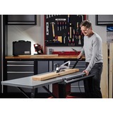 EINHELL Zaagtafel TE-TS 315 U tafelcirkelzaag Rood/zwart