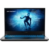 Deputy P60 MD62624 15.6"  gaming laptop