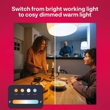 INNR Smart Bulb Comfort E27 2-pack ledlamp 2200-5000K, Dimbaar, Zigbee