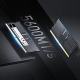 Lexar 32 GB DDR5-5600 (1x 32 GB) laptopgeheugen Zwart, LD5S32G56C46ST-BGS, SO-DIMM