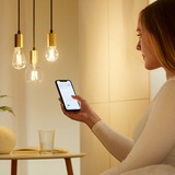 WiZ Filament doorzichtig A60 E27 ledlamp Wifi + Bluetooth protocol