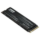 KLEVV CRAS C910G 2 TB SSD Zwart, K02TBM2SP0-10G, PCIe Gen 4.0 x4, NVMe 2.0