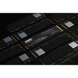 KLEVV CRAS C910G 2 TB SSD Zwart, K02TBM2SP0-10G, PCIe Gen 4.0 x4, NVMe 2.0