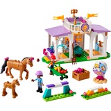 LEGO Friends Paardentraining Constructiespeelgoed 41746