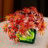 LEGO The Botanical Collection - Japanse esdoorn bonsaiboompje Constructiespeelgoed 10348