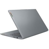 Lenovo IdeaPad Slim 3 15AMN8 (82XQ022DMH) 15.6"  laptop Grijs | Ryzen 5 40 | Radeon 610M | 8 GB | 256 GB SSD