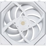 Lian Li Lian Li UNI FAN TL FLEX 120 WL wh RGB case fan Wit, 120 x 124 x 28 mm, PWM