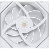 Lian Li UNI FAN TL FLEX 120 Wireless RGB case fan Wit, 120 x 124 x 28 mm, PWM