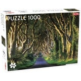 Tactic Puzzel Landscape: Dark Hedges in Northern Ireland 1000 stukjes