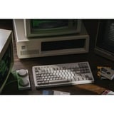 8BitDo IBM Bundel mechanisch gaming toetsenbord Grijs, US lay-out (QWERTY), Kailh Box White, 80% (TKL)	, TKL, Bluetooth Low Energy, Wireless 2.4G, USB