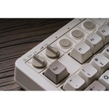 8BitDo IBM Bundel mechanisch gaming toetsenbord Grijs, US lay-out (QWERTY), Kailh Box White, 80% (TKL)	, TKL, Bluetooth Low Energy, Wireless 2.4G, USB