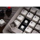 8BitDo IBM Bundel mechanisch gaming toetsenbord Grijs, US lay-out (QWERTY), Kailh Box White, 80% (TKL)	, TKL, Bluetooth Low Energy, Wireless 2.4G, USB