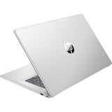 HP 17-cn2090nd (8Y7N9EA) 17.3"  laptop Zilver | i7-1255U | Iris Xe Graphics | 16 GB | 512 GB SSD
