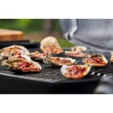 Weber Q 1400 elektrische barbecue met stand Grijs