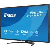 iiyama ProLite X4373UHSU-B2 42.5" 4K Ultra HD monitor Zwart (mat), 1x DisplayPort, 2x HDMI, 3x USB-C, 2x USB-A, HDMI, DisplayPort, USB-C