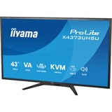 iiyama ProLite X4373UHSU-B2 42.5" 4K Ultra HD monitor Zwart (mat), 1x DisplayPort, 2x HDMI, 3x USB-C, 2x USB-A, HDMI, DisplayPort, USB-C