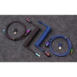 Keychron Premium Coiled Aviator Cable - Rainbow Plated Blue, Angled kabel Blauw, 1,08 meter