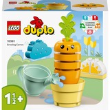 LEGO DUPLO - Groeiende wortel Constructiespeelgoed 10981