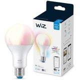 WiZ Lamp A67 E27 ledlamp Wifi + Bluetooth protocol