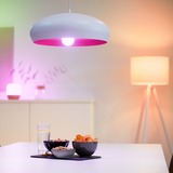 WiZ Lamp A67 E27 ledlamp Wifi + Bluetooth protocol