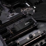 ADATA XPG GAMMIX S50 Core 500 GB SSD Zwart, PCIe 4.0 x4, NVMe 1.4, M.2 2280