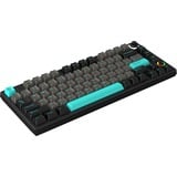 HelloGanss HS75T Obsidian, toetsenbord Zwart/grijs, US lay-out, Gateron Yellow, 75%, RGB leds, PBT Doubleshot keycaps, hot swap, 2,4 GHz / Bluetooth / USB-C