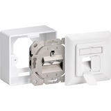 goobay Data Wallmount CAT 6 montagedoos Wit, 2x RJ-45