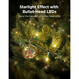 Govee Christmas Sparkle String Lights verlichting 30m