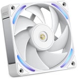 NZXT F120X RGB case fan Wit