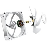 NZXT F120X RGB case fan Wit