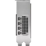 PNY Quadro RTX 2000 Ada Generation 16 GB grafische kaart 4x Mini-DisplayPort