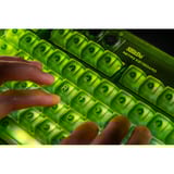 8BitDo Xbox Bundel, desktopset Groen, US lay-out, Kailh Box Jellyfish X, TKL, ABS keycaps, 50 - 26000 DPI, Bluetooth / USB-C / 2.4 GHz