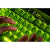 8BitDo Xbox Bundel draadloze desktopset Groen, US lay-out (QWERTY), Kailh Box Jellyfish X, 80% (TKL)	, ABS keycaps, 50 - 26000 DPI, Bluetooth | USB-C | 2.4 GHz