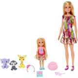 Mattel Barbie en Chelsea "The Lost Birthday" speelset Pop 